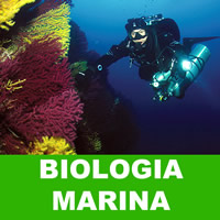 biologia