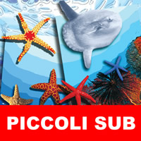 piccoli-sub
